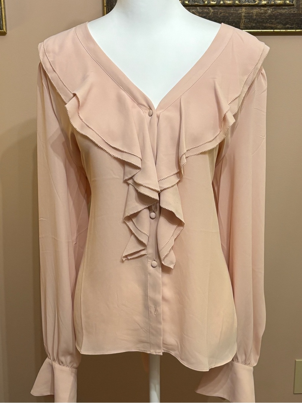 White House Black Market Blush Pink Ruffle V-Neck Blouse